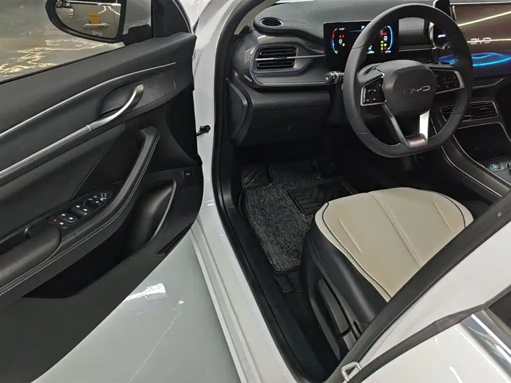 BYD Destroyer 05 2024 Glory Edition DM-i 55KM Luxury фото 16