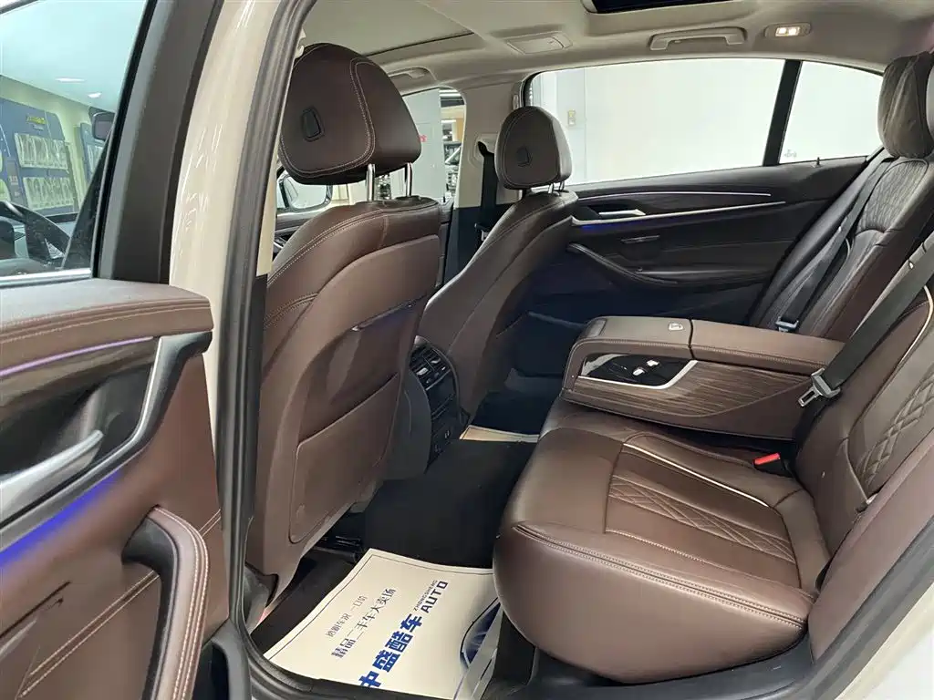 BMW 5 Series 2020 530Li xDrive Luxury Package фото 16