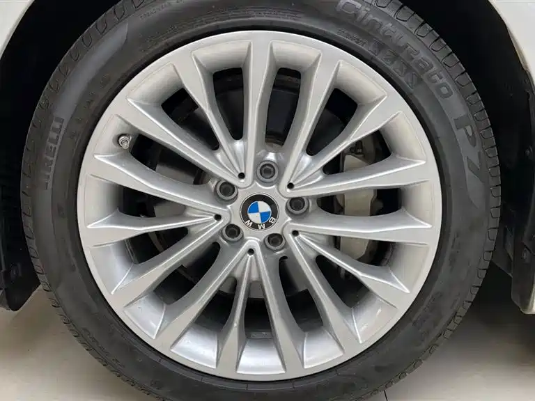 BMW 5 Series 2020 530Li xDrive Luxury Package фото 24