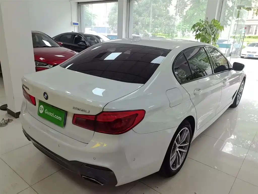 BMW 5 Series 2019 525Li M Sport Package фото 7