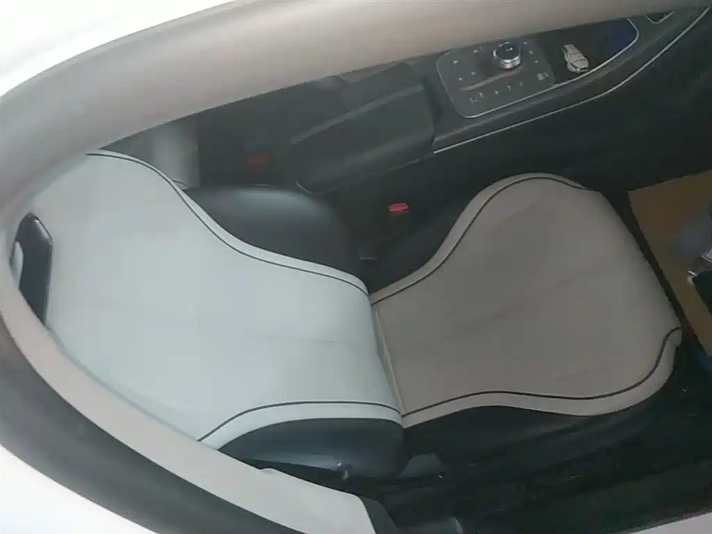 BYD Destroyer 05 2024 Glory Edition DM-i 55KM Luxury фото 25