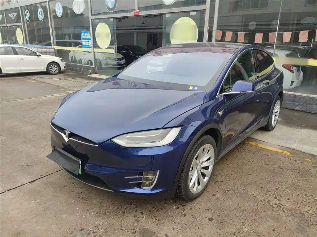 TESLA MODEL X 2019