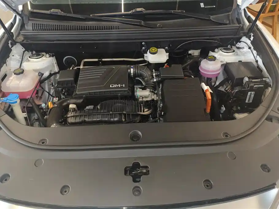 BYD Song Pro New Energy 2024 Glory Edition DM-i 71KM Leading фото 10