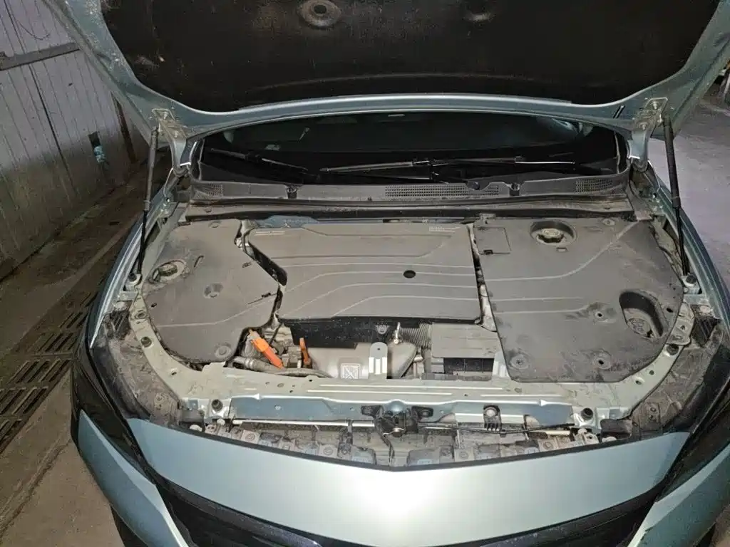 Фото 21 - Buick Velite 6