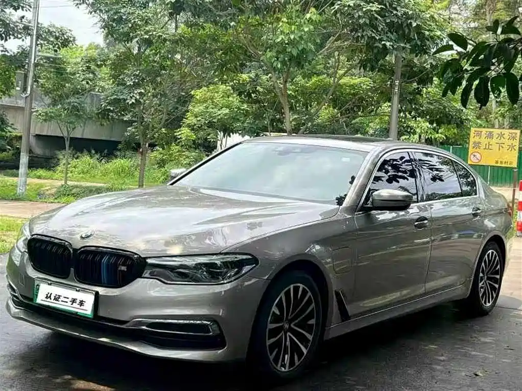 BMW 5 Series New Energy 2020 530Le Luxury Package фото 3