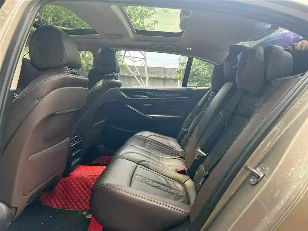 BMW 5 Series New Energy 2020 530Le Luxury Package фото 6