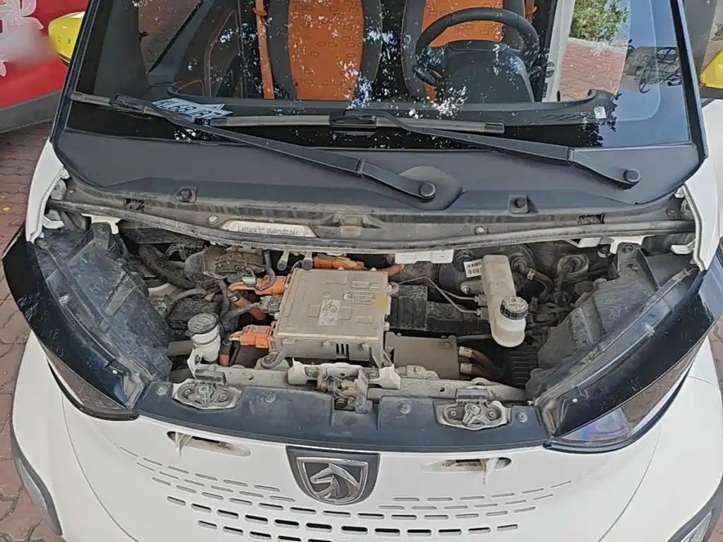 Baojun E100 2021 2020 305KM Intelligent Edition