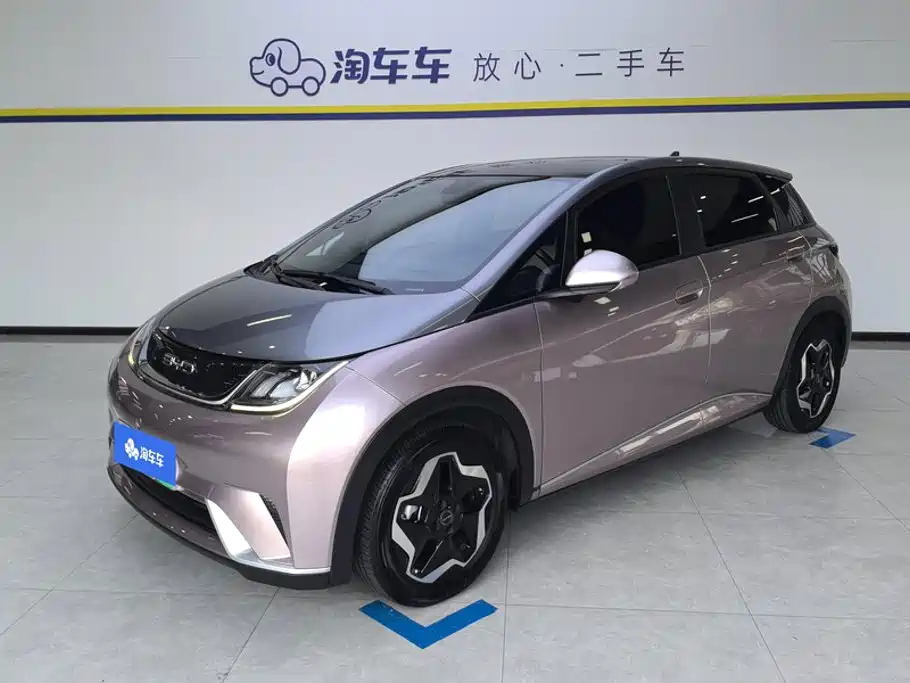 BYD Dolphin 2021