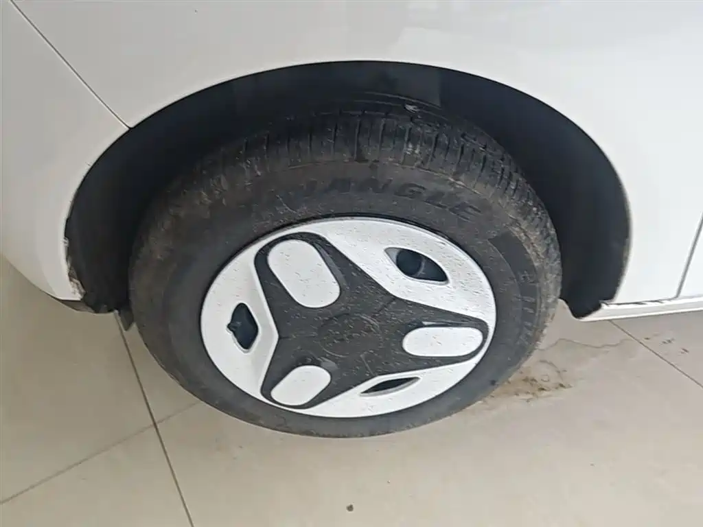 Geely Galaxy Panda 2025 Panda mini 210km Vitality Bear фото 23
