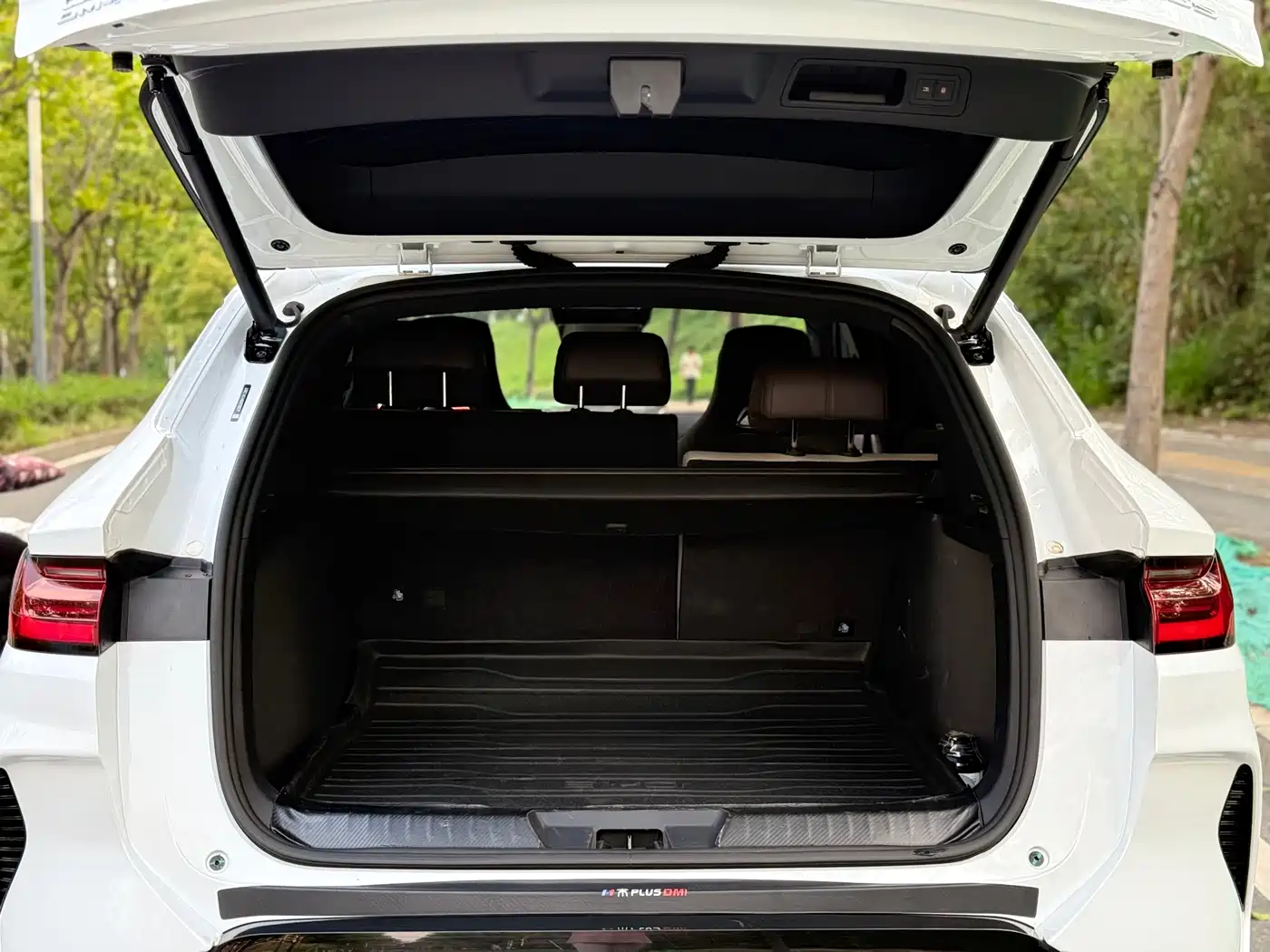 BYD SONGJIANG NEW ENERGY