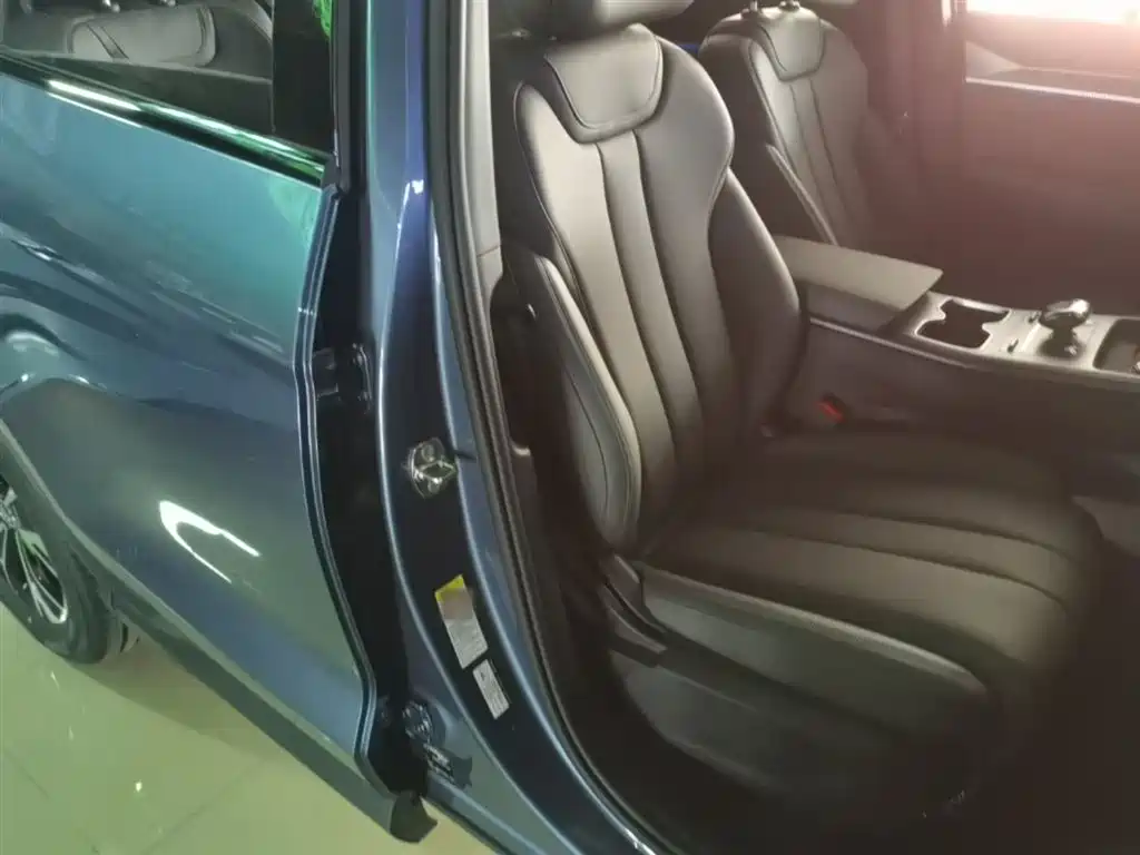 BYD Song Pro New Energy 2025 2nd Generation Smart Drive Edition DM-i 115KM Surpassing Type фото 25