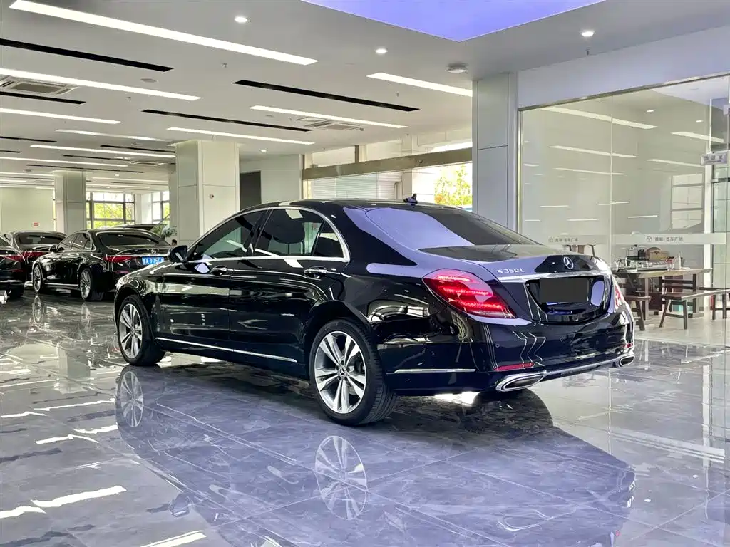 Mercedes-Benz S-Class 2020 S 350 L Premium Edition Collector's Version фото 3