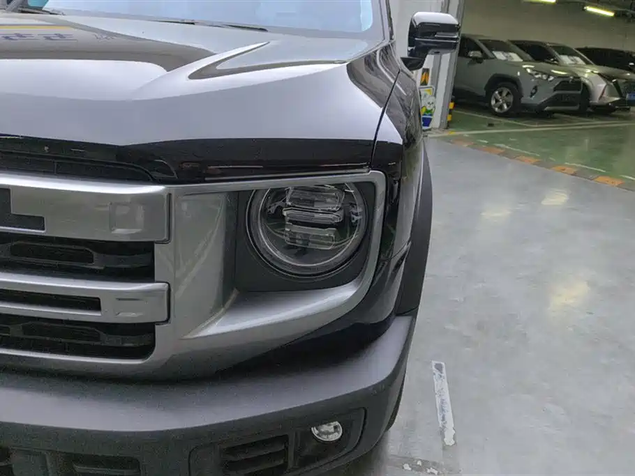 Haval Big Dog 2024 1.5T DCT Border Collie Edition фото 5