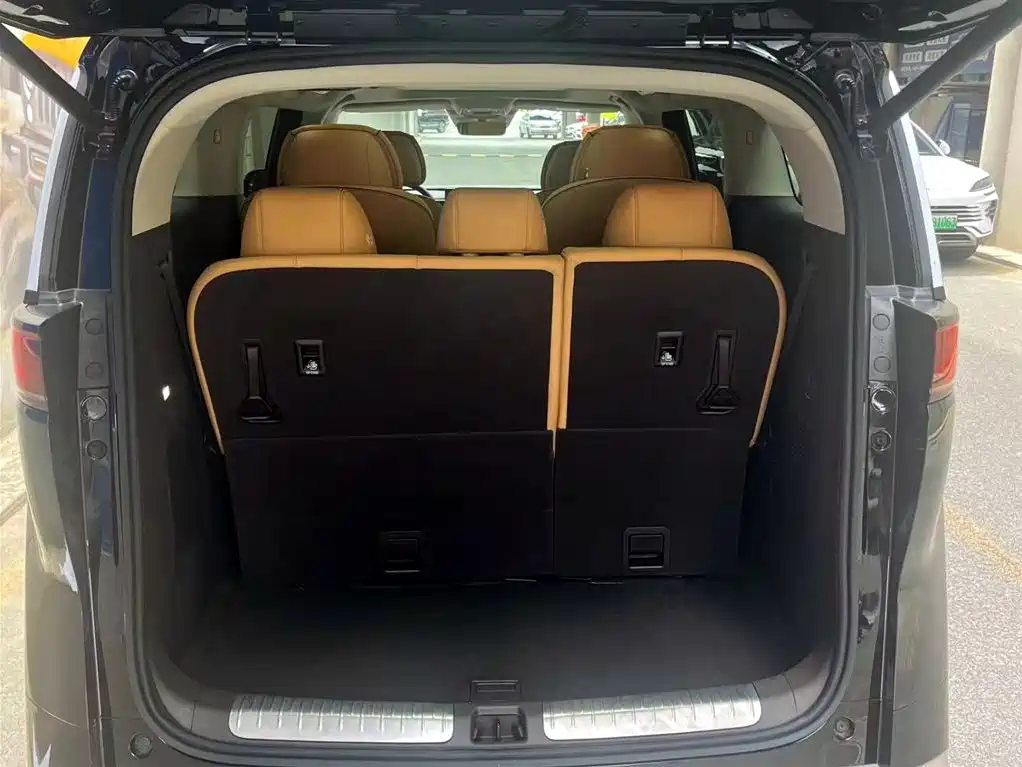Denza D9 2024 DM-i 980 AWD Premium фото 8