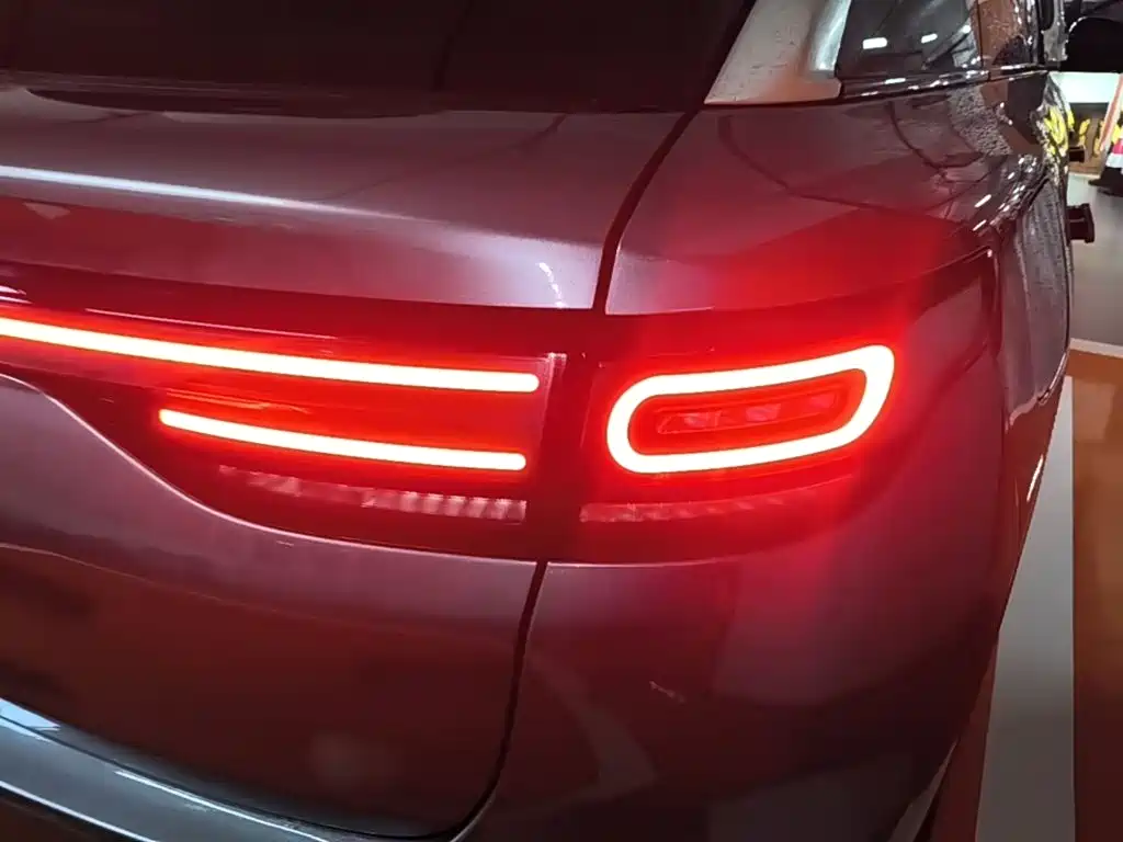 Leapmotor C11 2022 2021 Luxury Edition