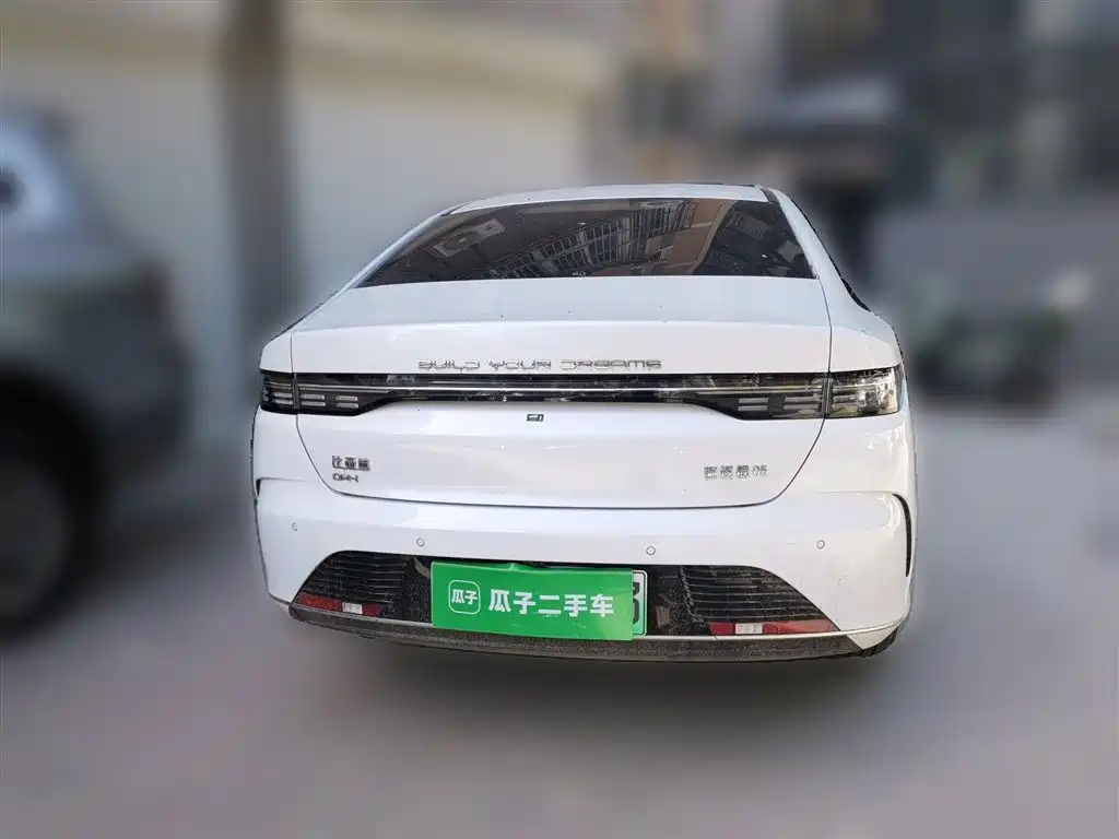 BYD Destroyer 05 2024 Glory Edition DM-i 55KM Luxury фото 3