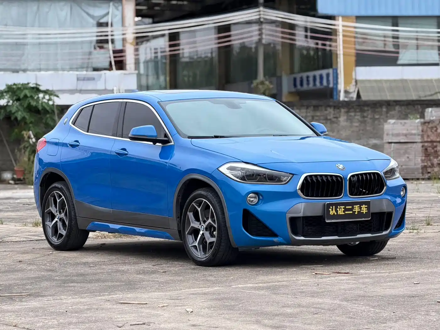 BMW X2 (Import) 2019 2019 sDrive20i M Off-Road Package China VI