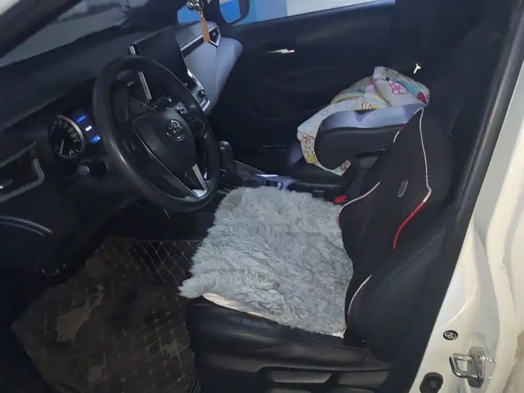 Toyota Levin 2019 185T CVT Luxury Edition China VI фото 11