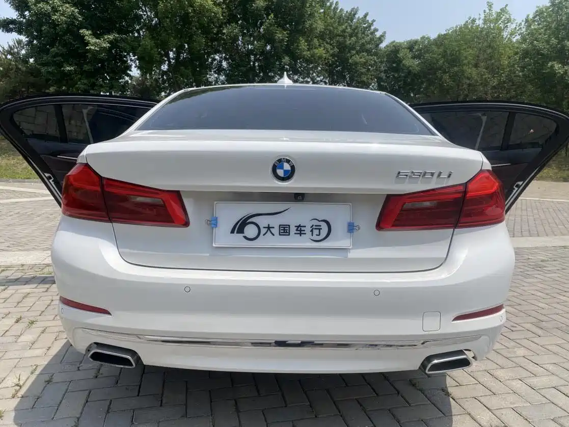BMW 5 Series 2018 Facelift 530Li Leading Luxury Package фото 5