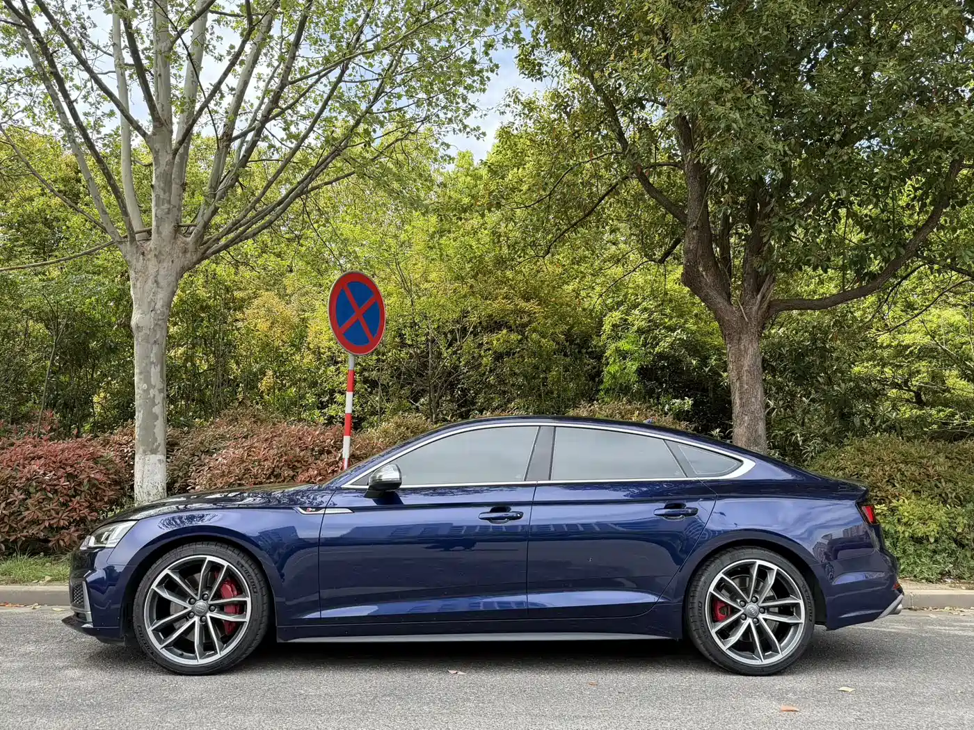 Audi S5 2017 S5 3.0T Sportback фото 4