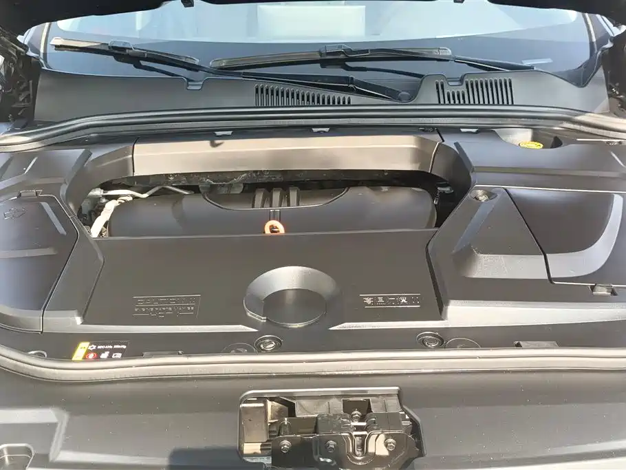 WEI PAI WEI BRAND VV5