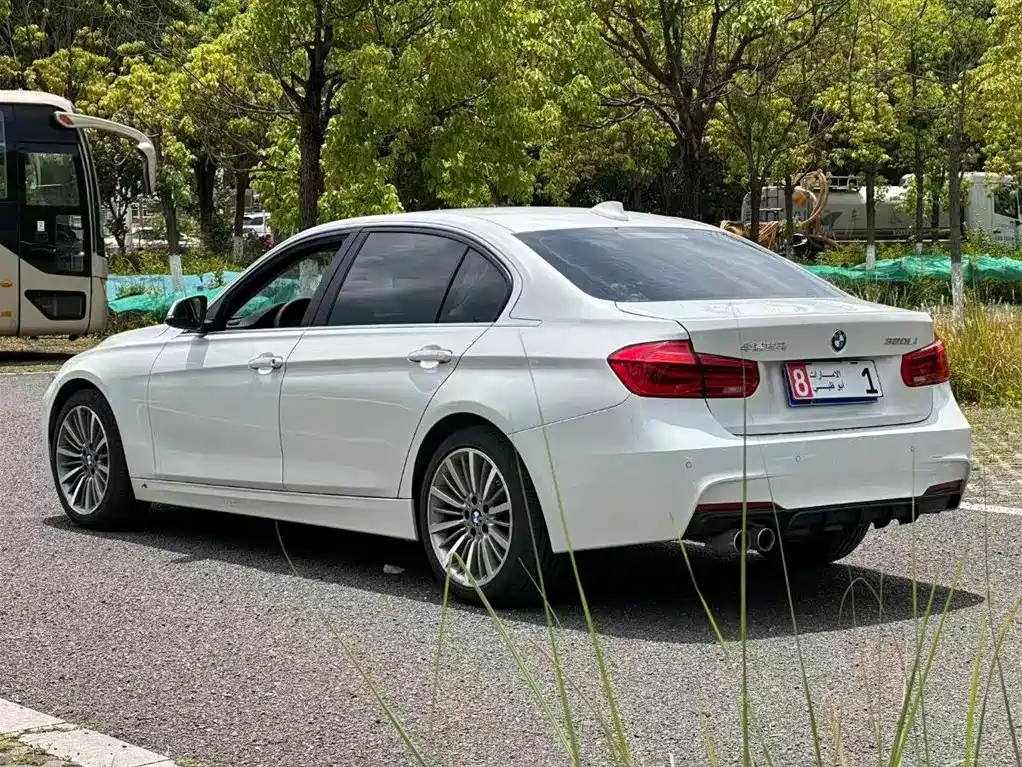 BMW 3 Series 2019 320Li M Sport Package фото 7