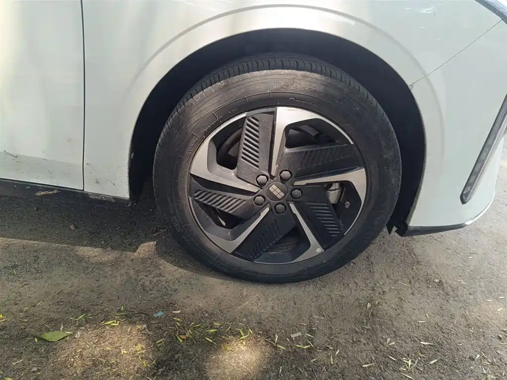 Geely Galaxy Galaxy L6 2025 EM-i 140km Explorer+ Edition фото 8