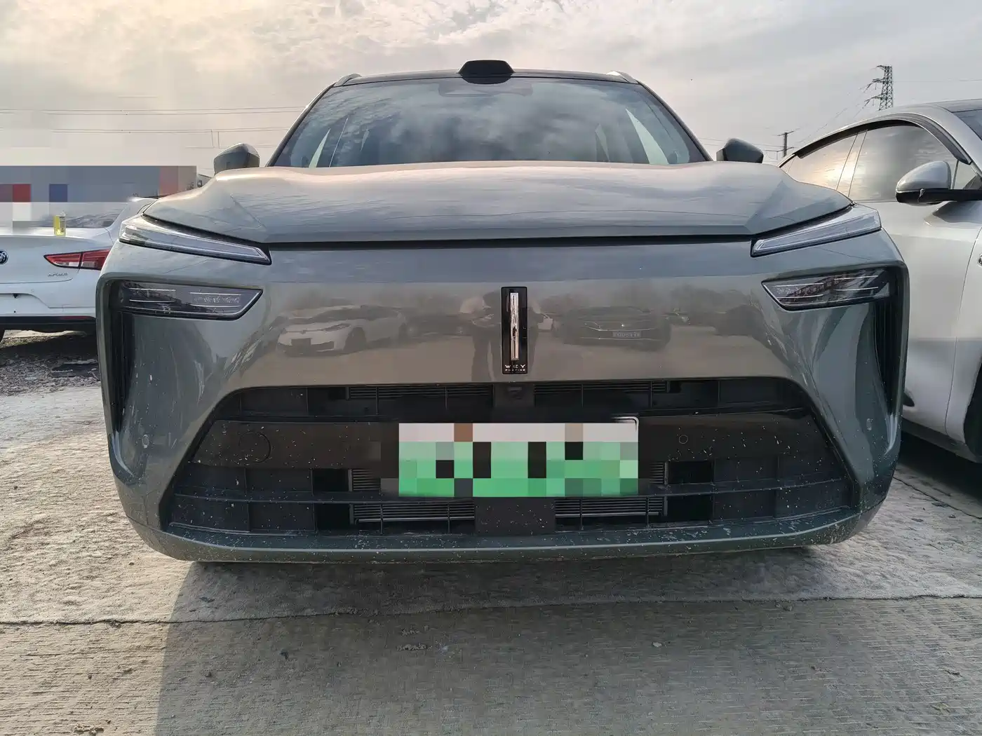 WEI PAI WEI BRAND BLUE MOUNTAIN