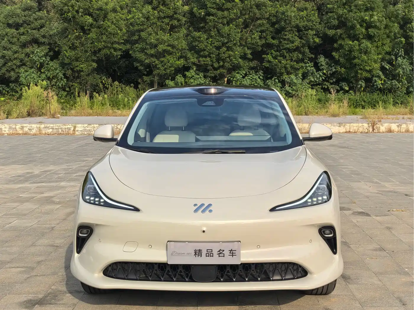 IM Motors IM LS6 2025 2025 Gecko Smart Drive Edition