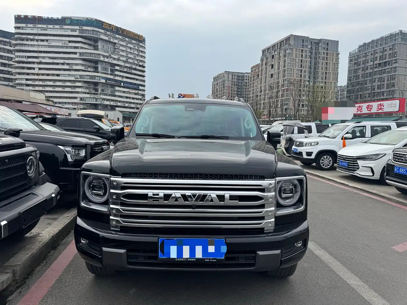 HAVAL H9