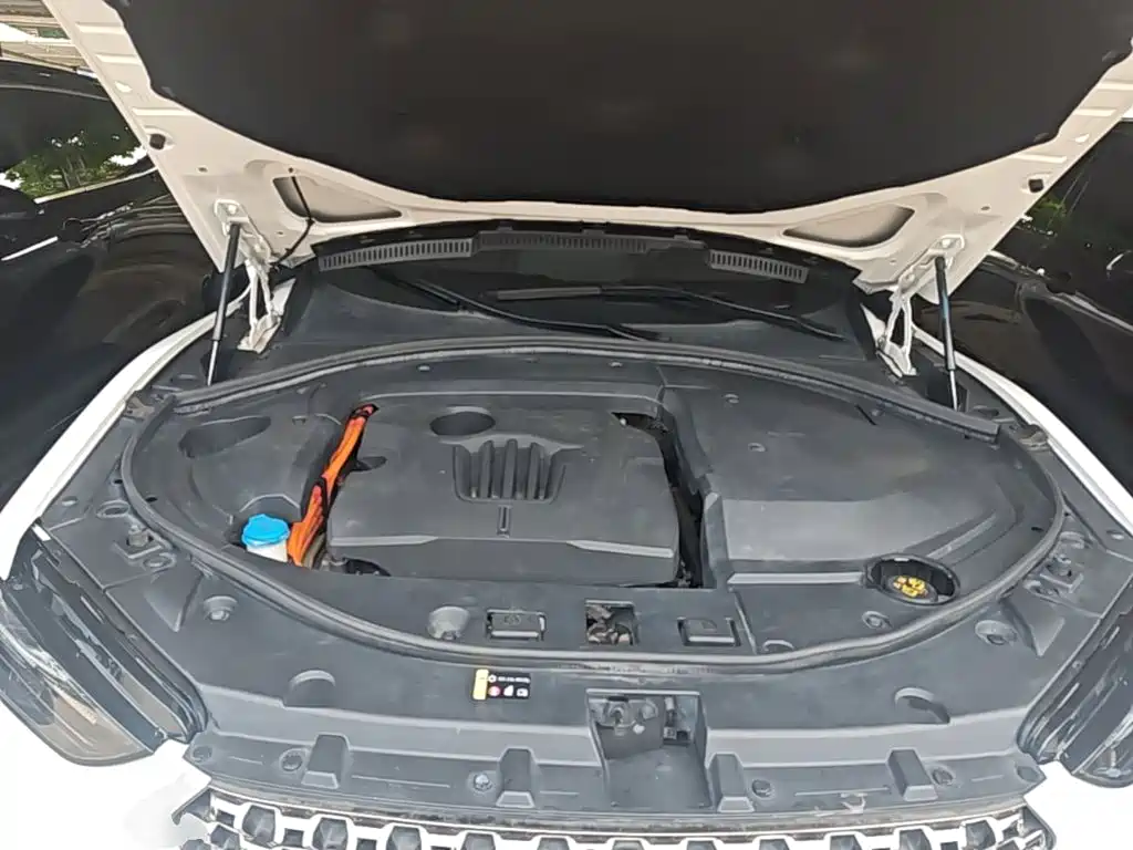 WEY VV7 New Energy 2020 2020 PHEV 2.0T Flagship Model