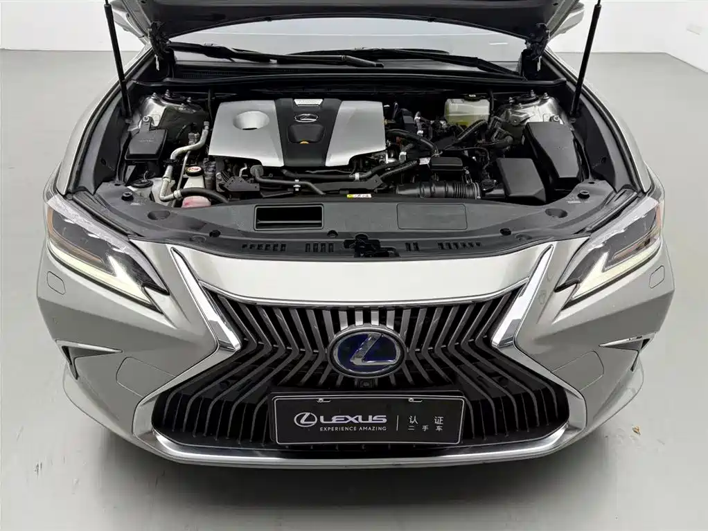 Lexus ES 2020 Model 300h Executive Edition China V фото 3