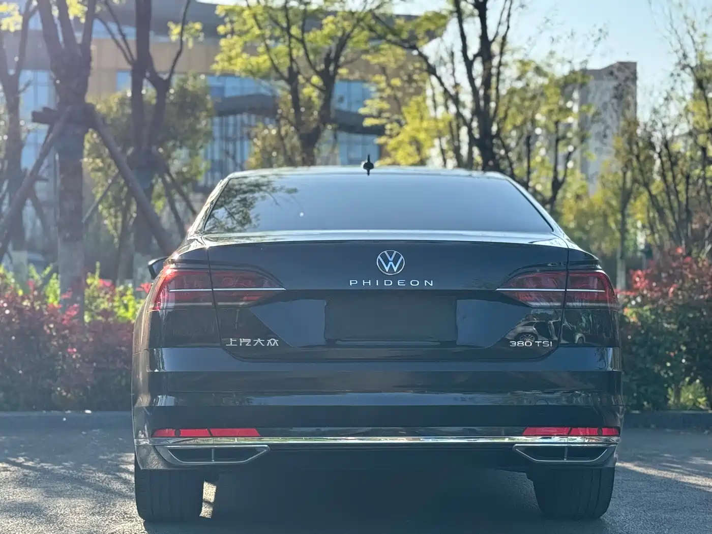 Volkswagen Phideon 2021 380TSI Luxury Edition фото 8