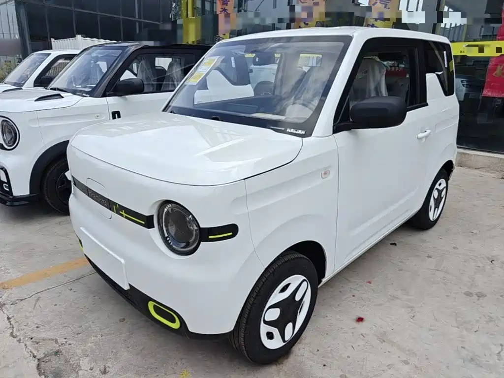 Geely Galaxy Panda 2026 2025 Panda mini 210km Vitality Bear