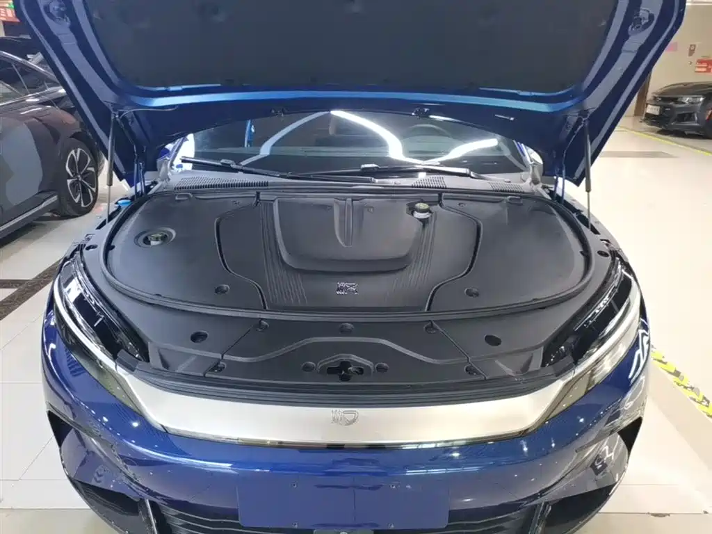 BYD Han 2022 EV Genesis Edition 610KM AWD Premium фото 20