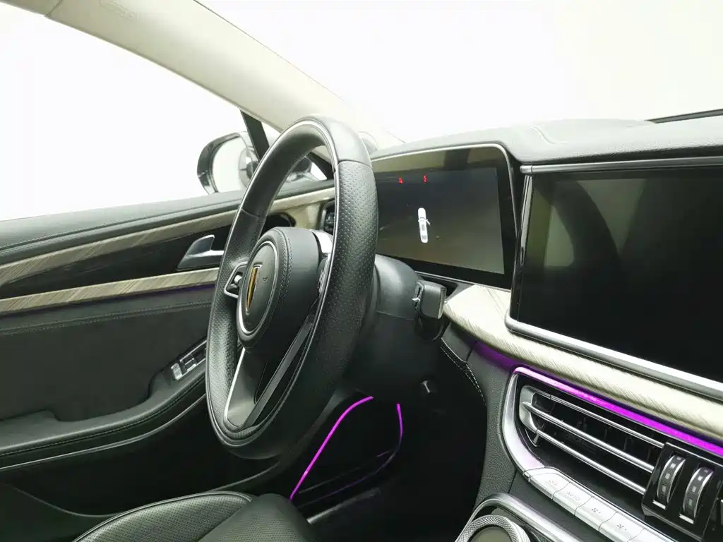 Hongqi H9 2020 2020 2.0T Smart Connection Qi Chang Edition