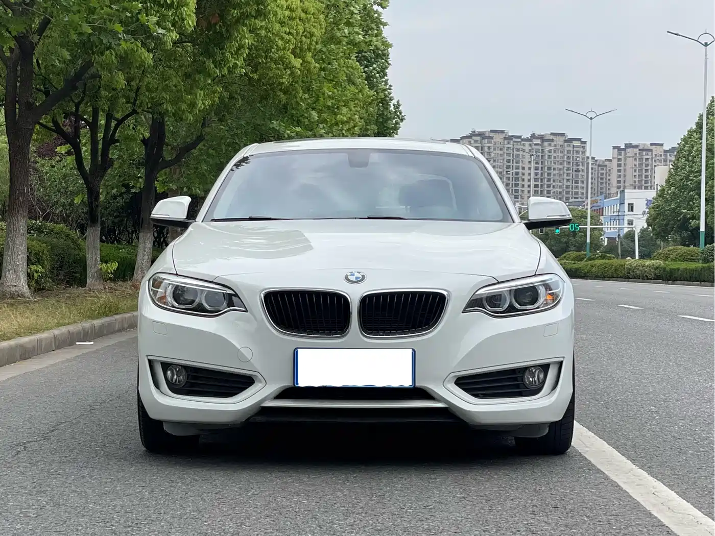 BMW 2 Series (Import) 2014 220i Leading фото 2