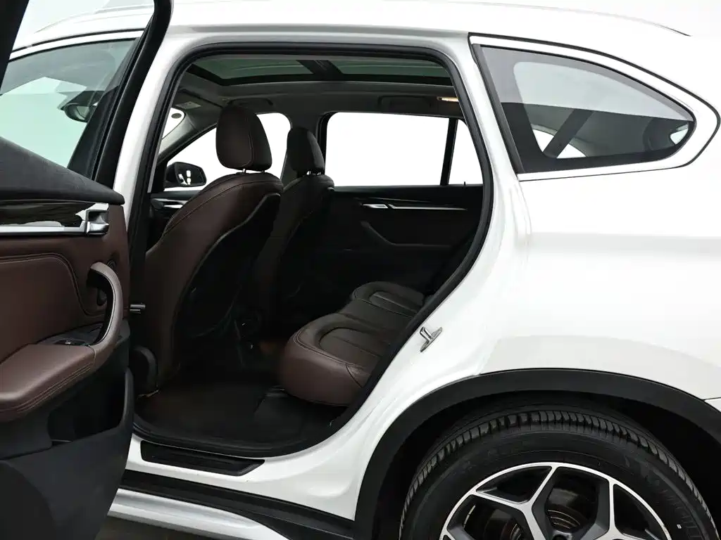 BMW X1 New Energy 2018 2018 xDrive25Le Luxury Model