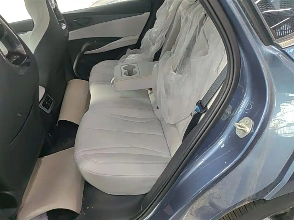 BYD Seal 06 New Energy 2024 DM-i 120KM Premium фото 17