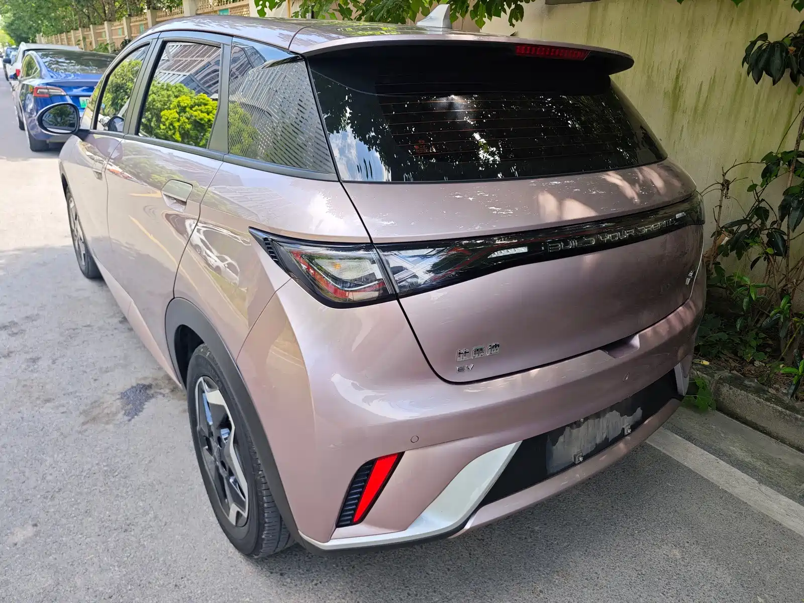 Photo 4 - BYD Dolphin