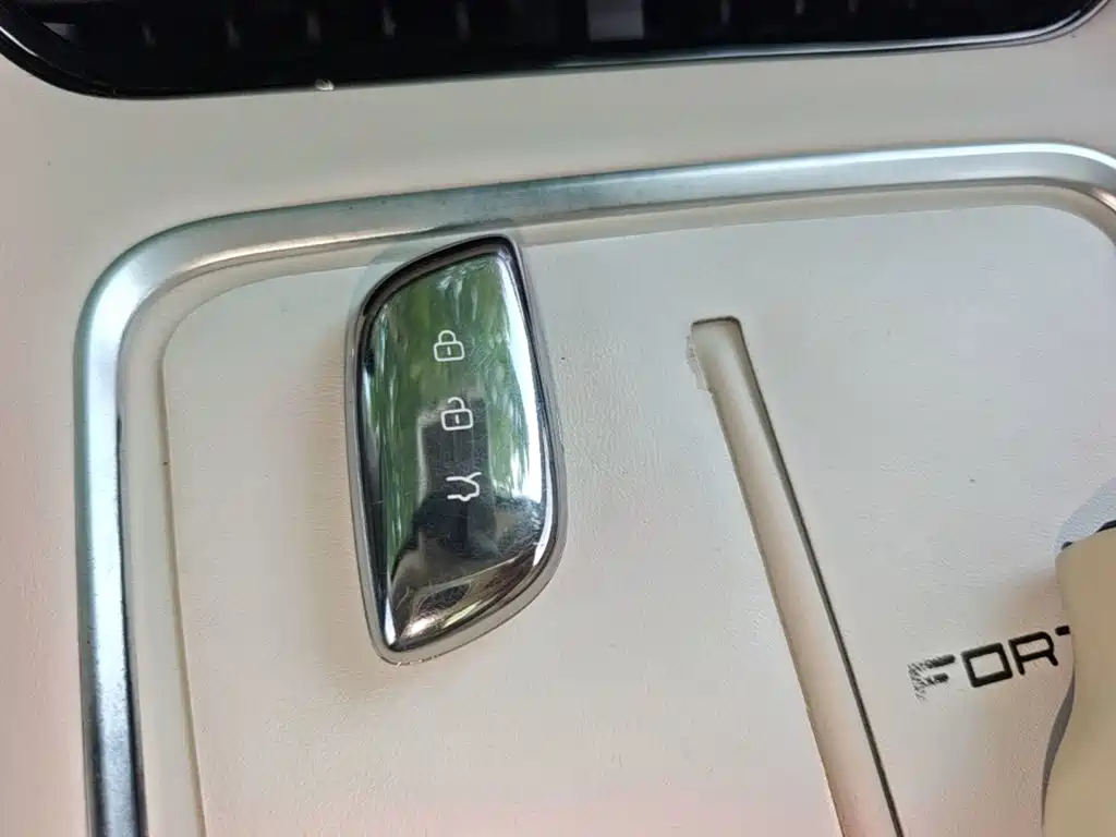 Dongfeng Fengxing Stellar S7 2024 2024 555 Joy Edition