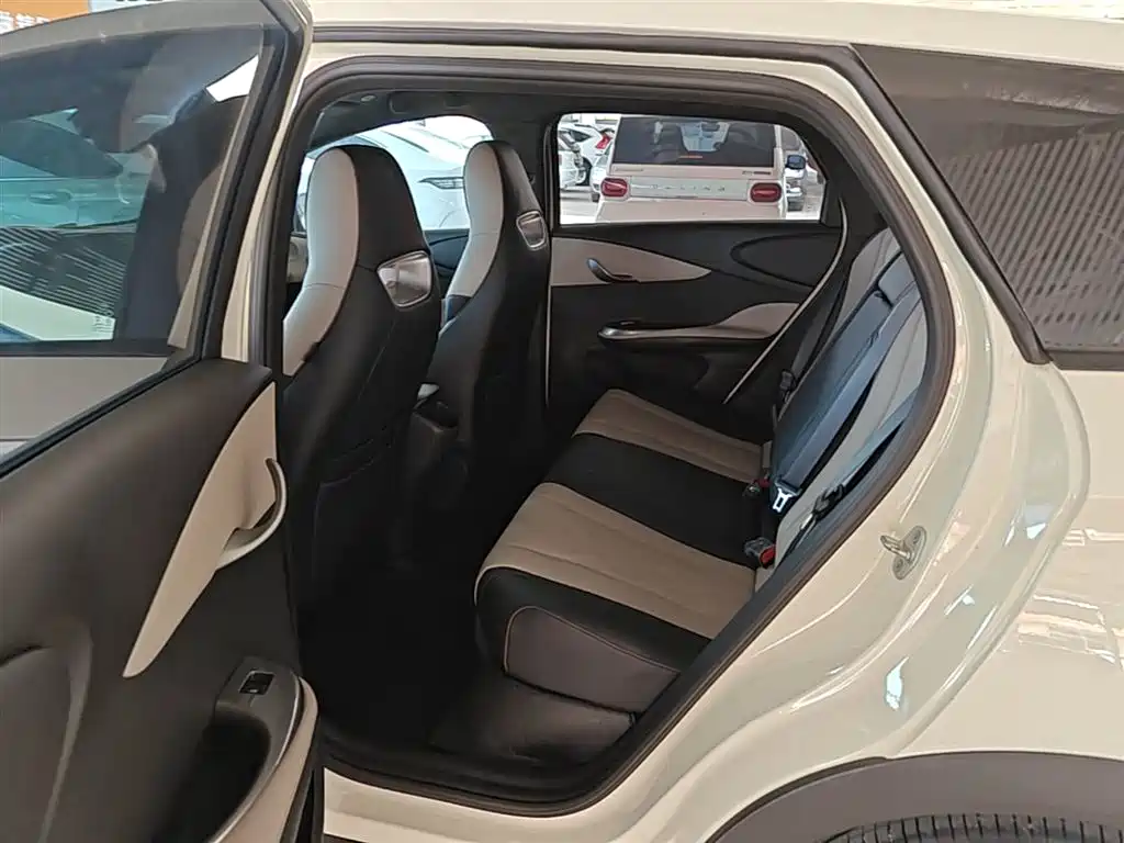 BYD Dolphin 2023 420km Fashion Edition фото 17