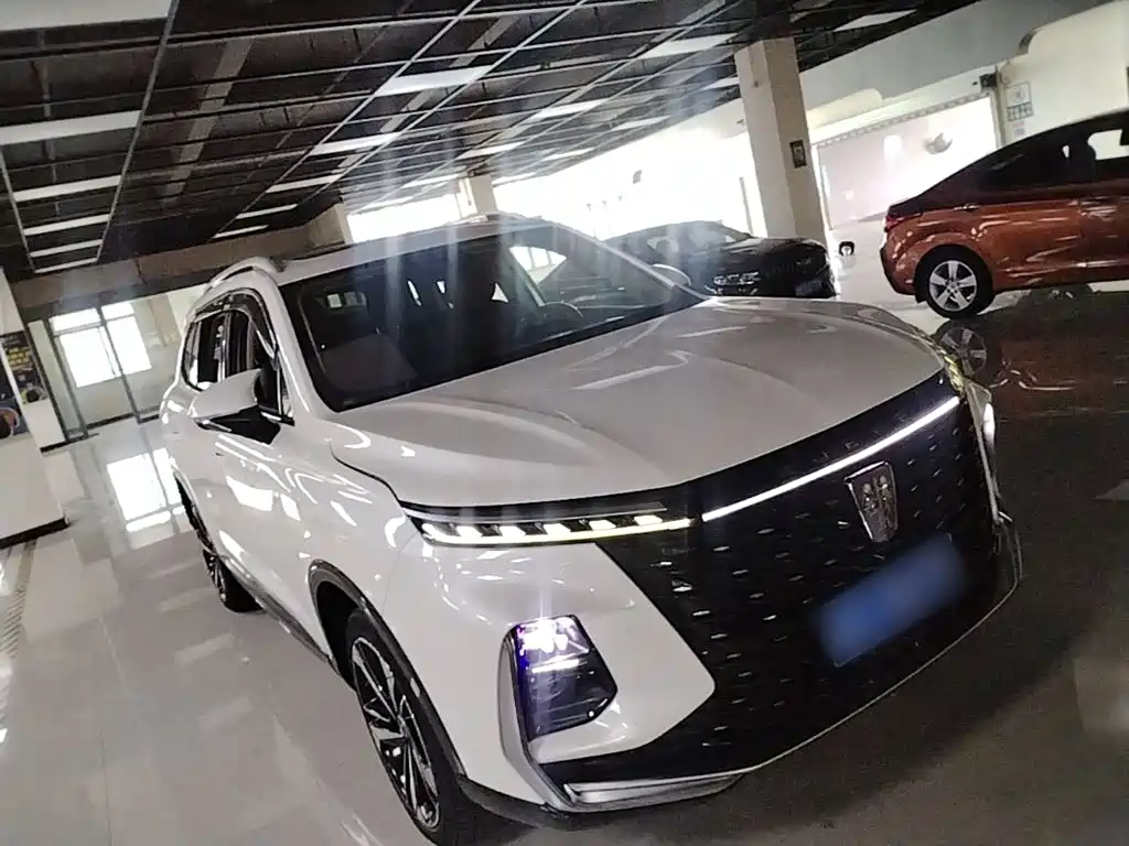 Roewe RX5 MAX 2022 2022 1.5T Auto Promising Premium Edition
