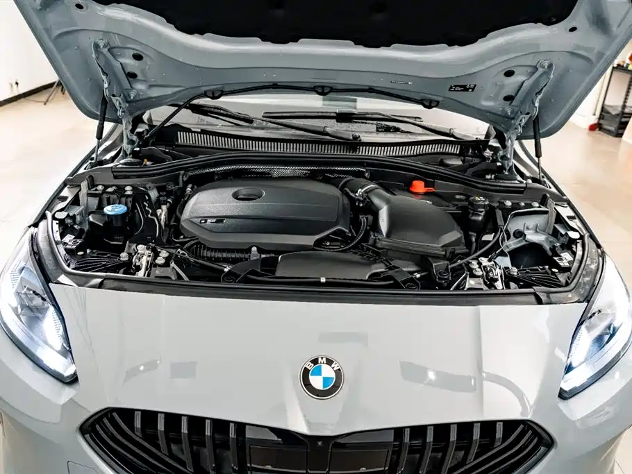 BMW 2 Series 2025 225L M Sport Moonlight Package фото 26