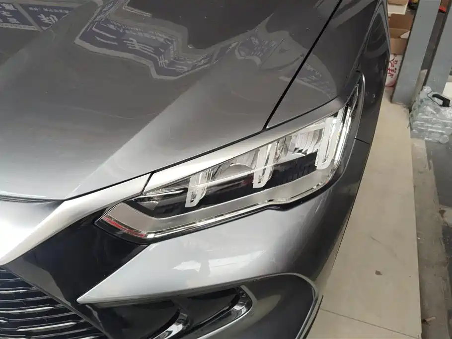 BYD Song Pro New Energy 2024 Glory Edition DM-i 71KM Pilot фото 5