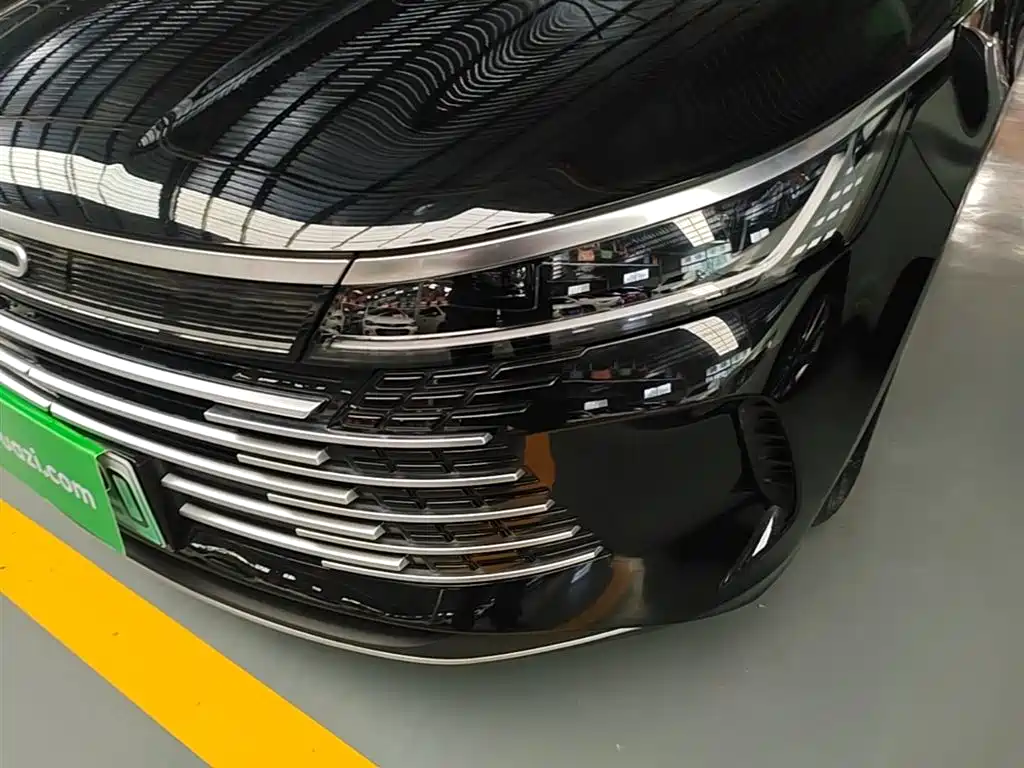 BYD Destroyer 05 2024 Glory Edition DM-i 55KM Luxury фото 24