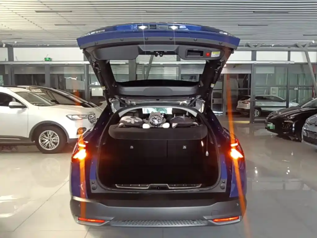 Citroën Versailles C5 X 2023 2021 1.6T Momentum Extraordinary