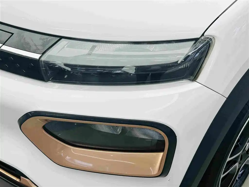 Dongfeng Yipai Nano BOX 2023 2022 Wind Chaser Edition 351KM Standard