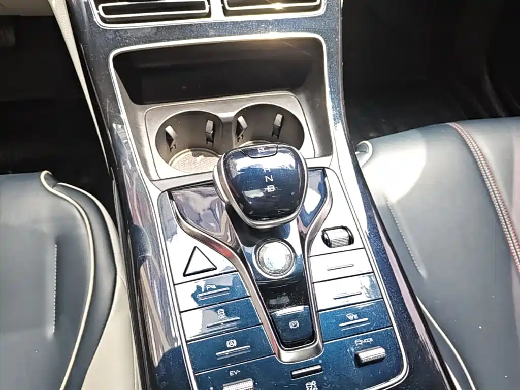 BYD Qin PLUS 2021 DM-i 55KM Flagship фото 14