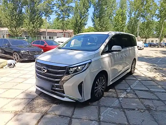 Trumpchi M8 Elegance Series, 390T, Премиум